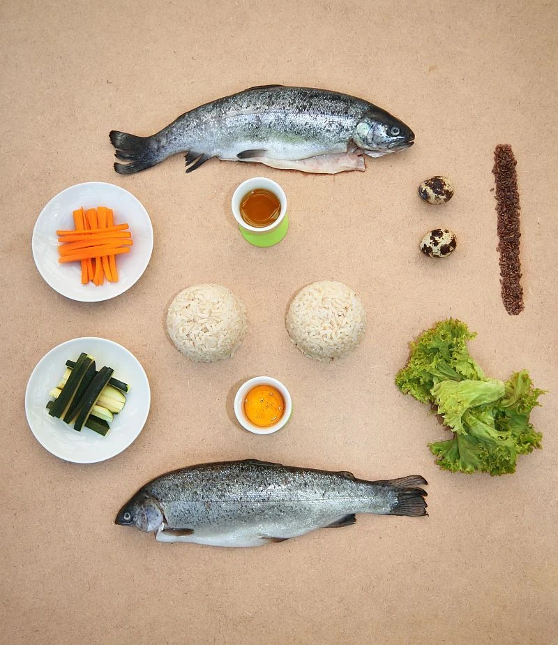Ration mit Fisch für Hund